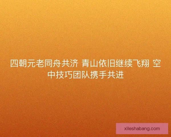 四朝元老同舟共济 青山依旧继续飞翔 空中技巧团队携手共进