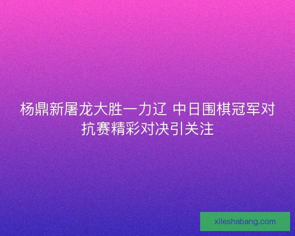 杨鼎新屠龙大胜一力辽 中日围棋冠军对抗赛精彩对决引关注